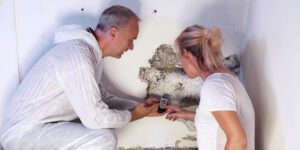 Most Commonly Asked Questions About Mold